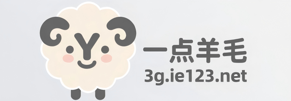 一点羊毛